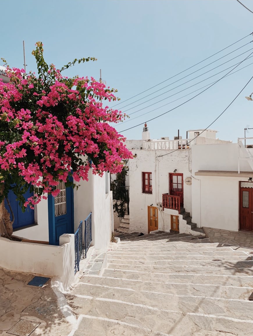 Pink flowers and a street in Greece